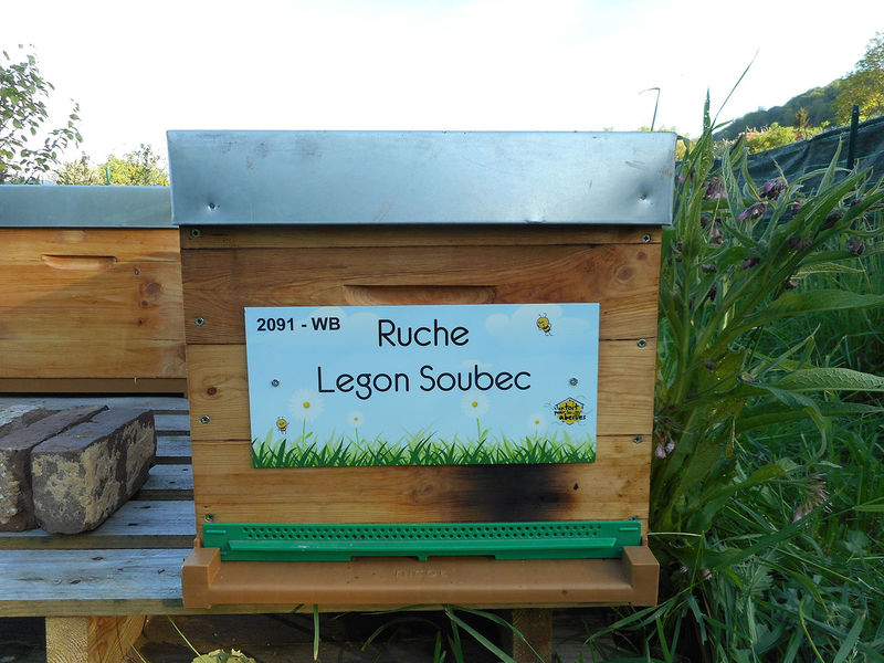 La ruche